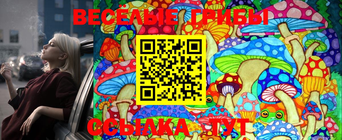 Каменск-Уральский  Псилоцибиновые грибы Magic Shrooms  Вход с VPN  Псилоцибиновые грибы ЛСД 
